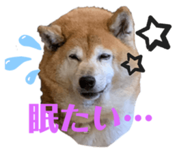 354399501