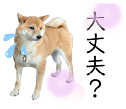 354399507