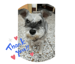 354422238