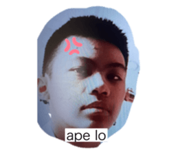 354428716