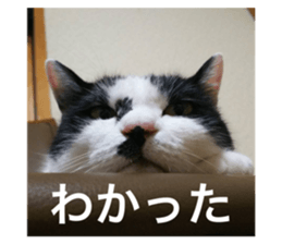 354428824