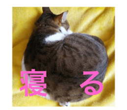 354428836