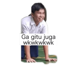 354431496