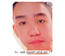 354431501