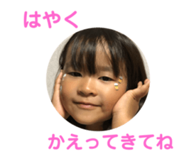 354431651
