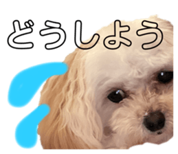 354434545