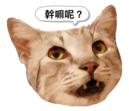 354435728