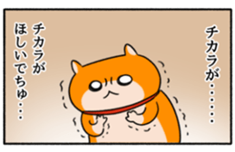 354435915
