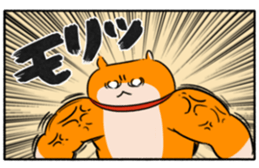 354435916