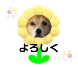 354461969