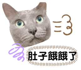 354476564