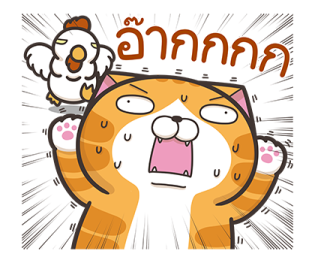 354512535