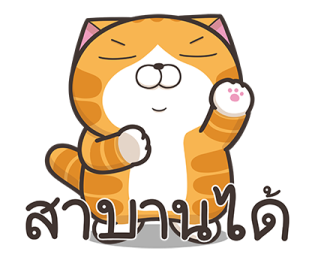 354512539