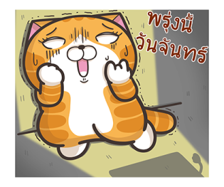 354512541