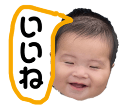 354513300