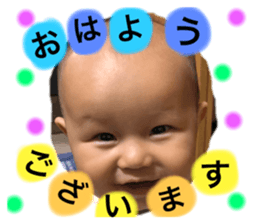 354590038
