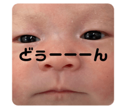 354628379