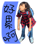 354633508