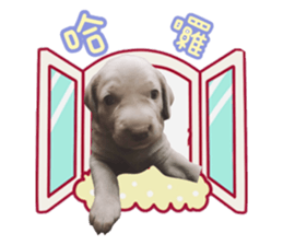 354656687