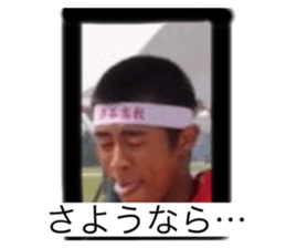 354715816
