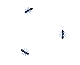 354742056