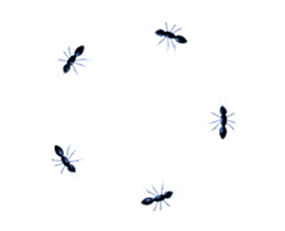 354742057