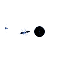 354742071