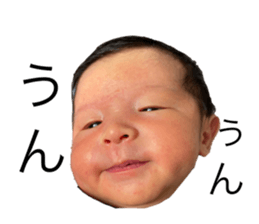 354792396