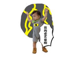 35482401