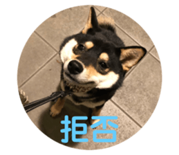 354864824