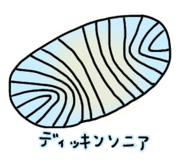 354877262