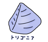 354877289