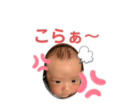354888850