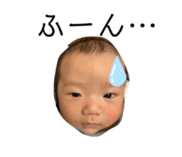 354888853