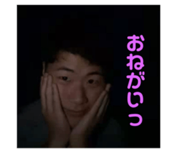 354915778