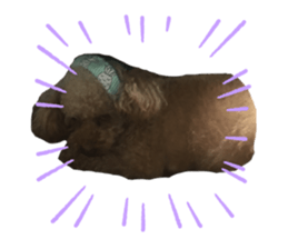 354918427