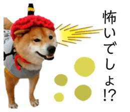 354927888