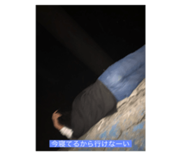 354997934