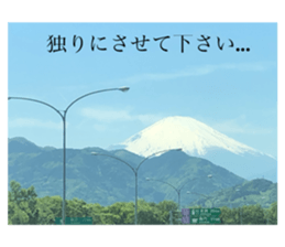 355020181