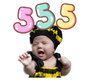 355020480