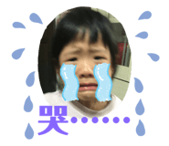 355068162