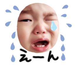 355138021