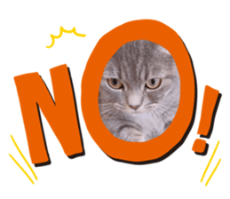 355144907