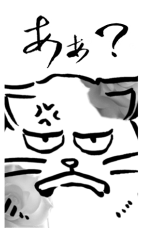 355259288