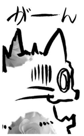 355259298