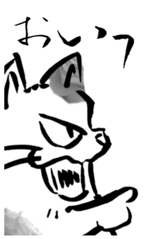 355259300