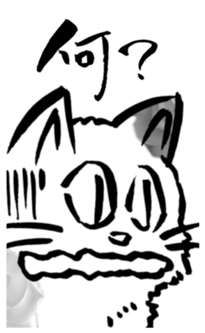 355259306