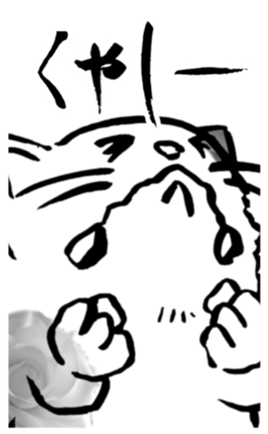 355259309