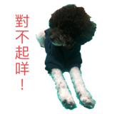 355302546