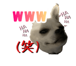 355377832